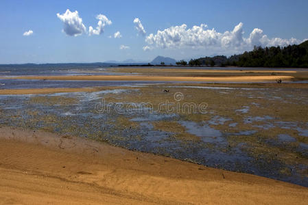 天空 小岛 海滩 海藻 储备 多管闲事 种植园 海洋 泻湖