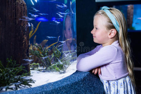 童年 小孩 水下 动物 娱乐 环境 存储 水族馆 有趣的