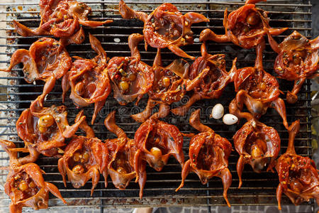 烤亚洲小鸟在辛辣腌料照片