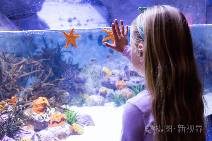 磨尖 手势 水族馆 生物学 动物 签名 存储 小孩 手指