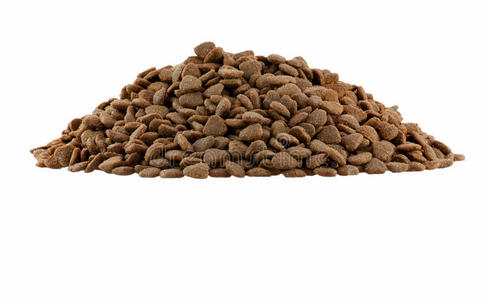 猫粮首页图片-猫粮首页素材-猫粮首页插画-摄图新视界