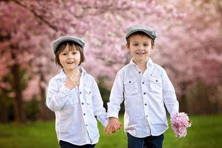 兄弟 可爱的 外部 樱桃 开花 帽子 公园 小孩 美丽的