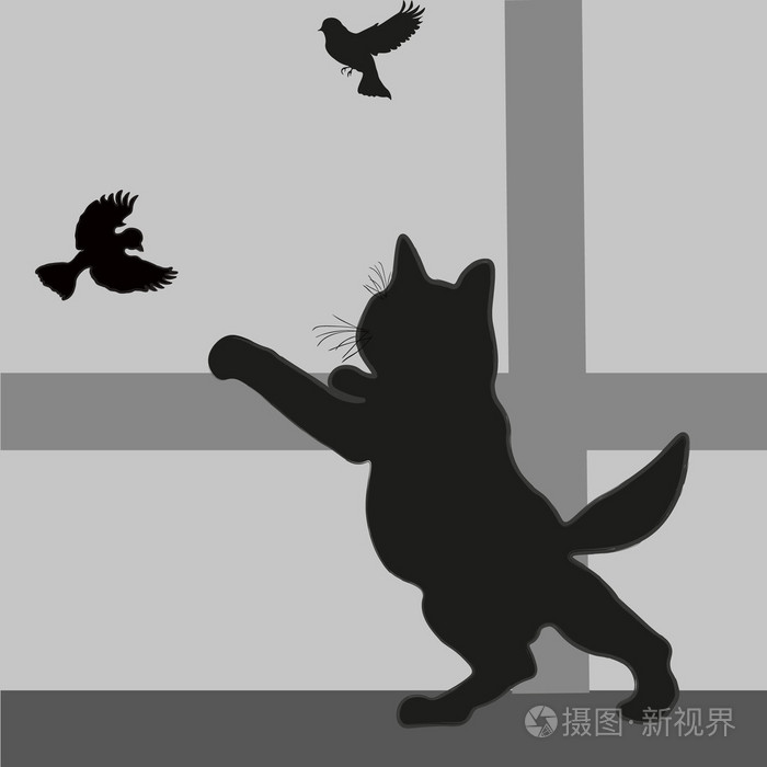 小猫看着窗外的麻雀插画 正版商用图片1qil1s 摄图新视界