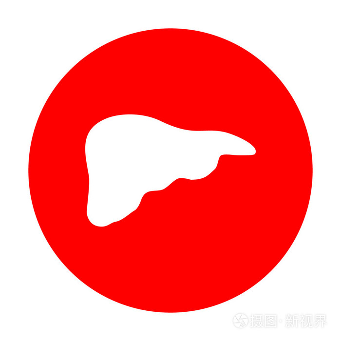 人体解剖图肝的标志白色图标上的红色圆圈