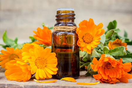 美丽的瓶子向表万寿菊精油在一个美丽的瓶子在桌子上芳香精油与新鲜万