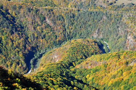 与多彩森林山秋天风景图片