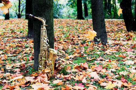 在秋天公园中音萨克斯管图片