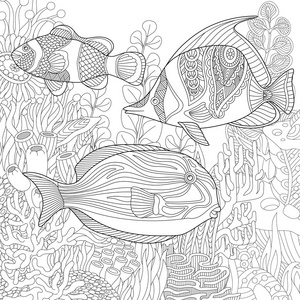 zentangle 程式化的水族馆照片