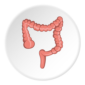 肠图标小肠的图标,卡通风格照片
