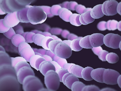 肺炎链球菌图片