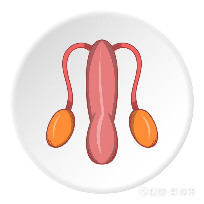 男性性器官图标,卡通风格