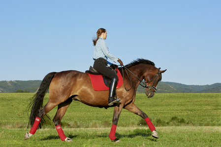 女孩骑乘马图片