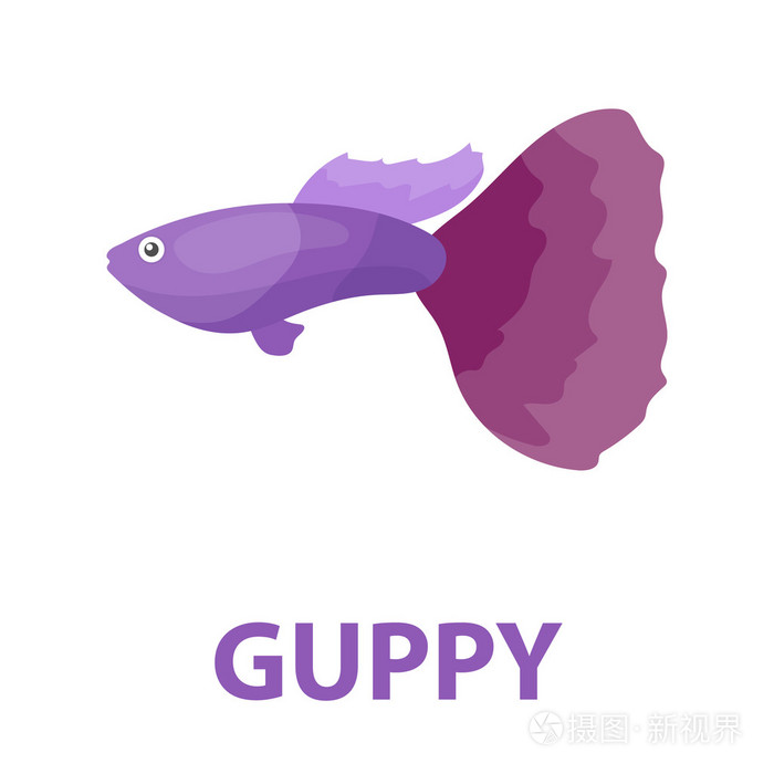 孔雀鱼鱼图标卡通.烧水族馆鱼图标从海,海洋生活卡通