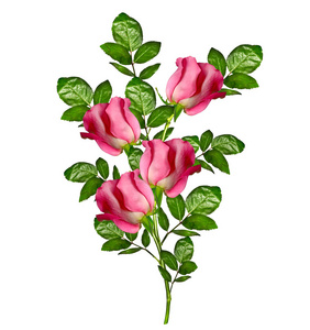 黄色玫瑰花蕾图片-黄色玫瑰花蕾素材-黄色玫瑰花蕾插画-摄图新视界