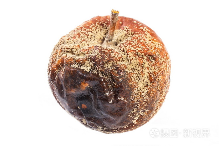 老皱发霉苹果白色背景上