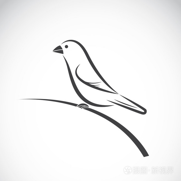 小鸟图标插画-正版商用图片1qk90r-摄图新视界