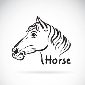 马头上的线束图片