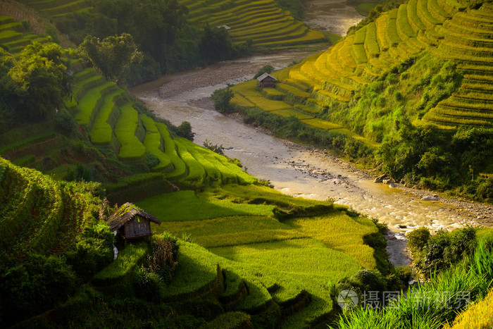 在太阳 Mucangchai，越南在梯田上的稻田