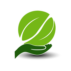 绿色能源的象征照片