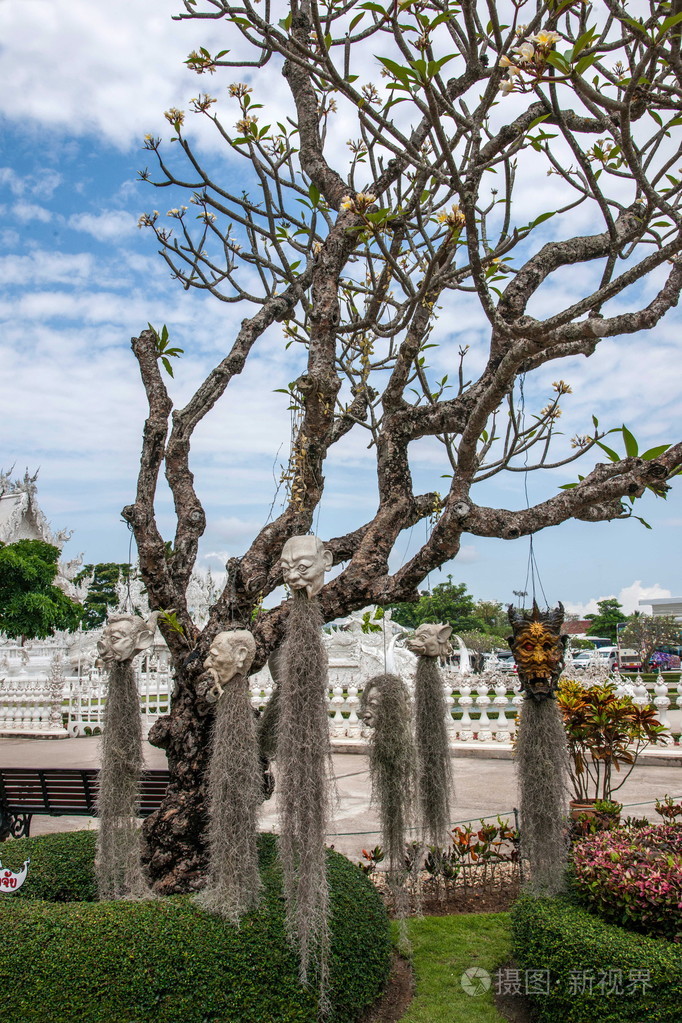 挂在树上的各种恶魔的台北清莱白寺