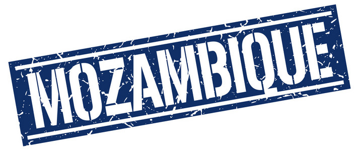 莫桑比克蓝色邮票莫桑比克圆海豹specie loxodonta africana family