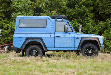 草地上的蓝色越野车照片