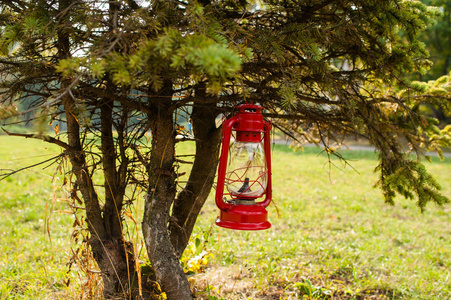 红油凉拌菜图片