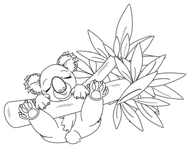 着色考拉睡觉插画