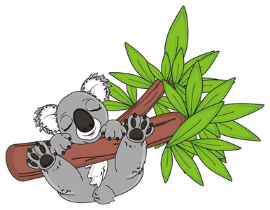 有趣的考拉睡眠插画