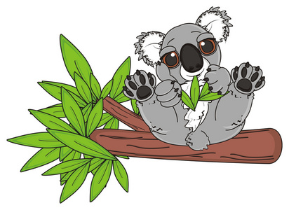 吃一片叶子的树袋熊图片