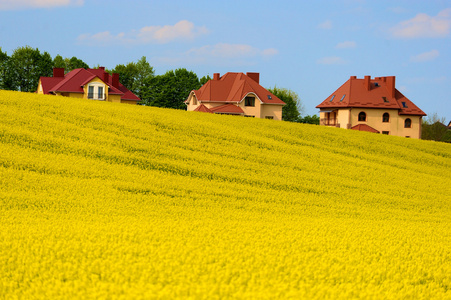商业照片展示洞穴河流风景优美的储备,新的西兰岛自然