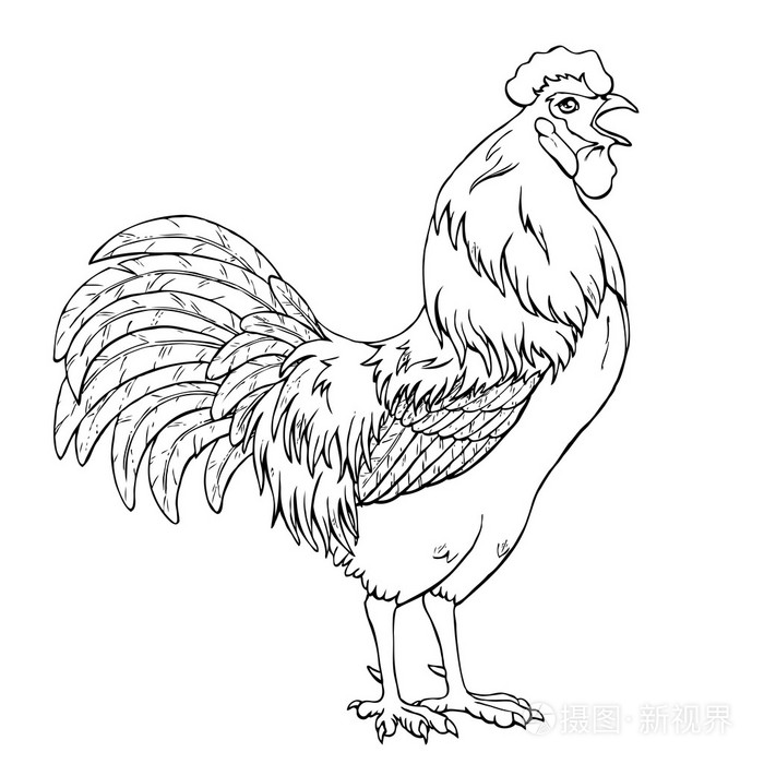 插画-正版商用图片1qmx1w-摄图新视界