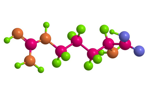 l-精氨酸分子的结构照片