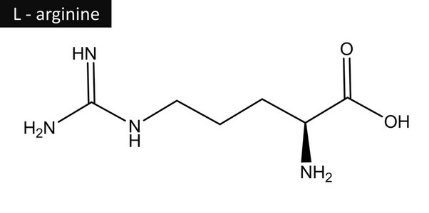 l-精氨酸分子的结构照片
