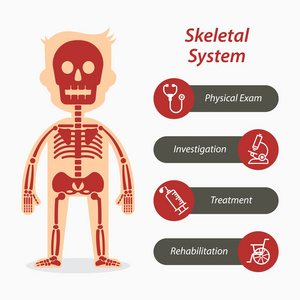 骨骼系统和医疗线图标图片