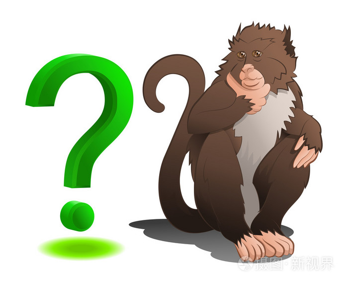 坐在带问号的狒狒