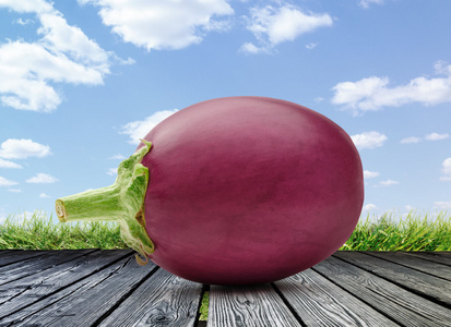 一个新鲜茄子图片