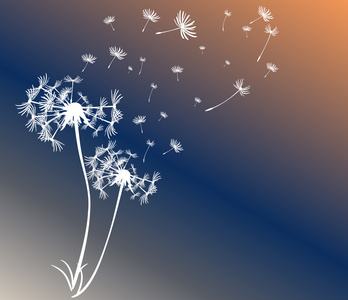 蒲公英矢量背景抽象卡