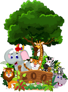 有趣的动物卡通与森林背景图片