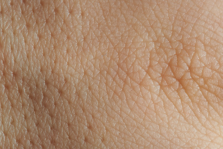 纹理的皮肤与毛孔照片