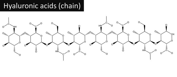 透明质酸分子的结构图片