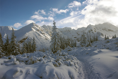 风景秀丽的伟大白雪皑皑的山峰图片