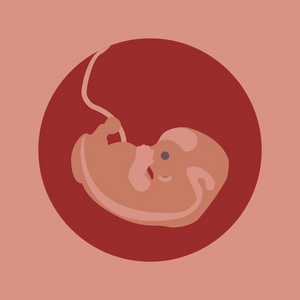 胚胎发育阶段的出生图片