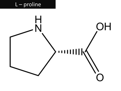 分子结构的 l脯氨酸照片