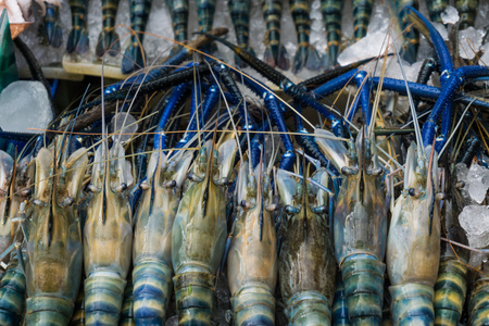 巨型海虾行新鲜市场摄影图