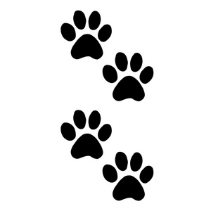 抽象动物足迹矢量背景. 步行照片