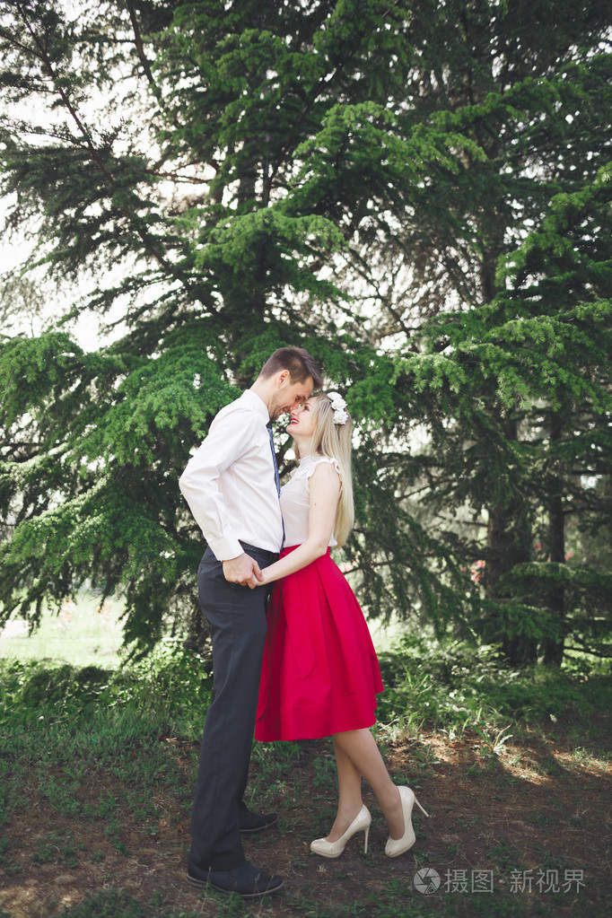 年轻美丽情侣接吻和拥抱树木用盛开的夏天公园附近