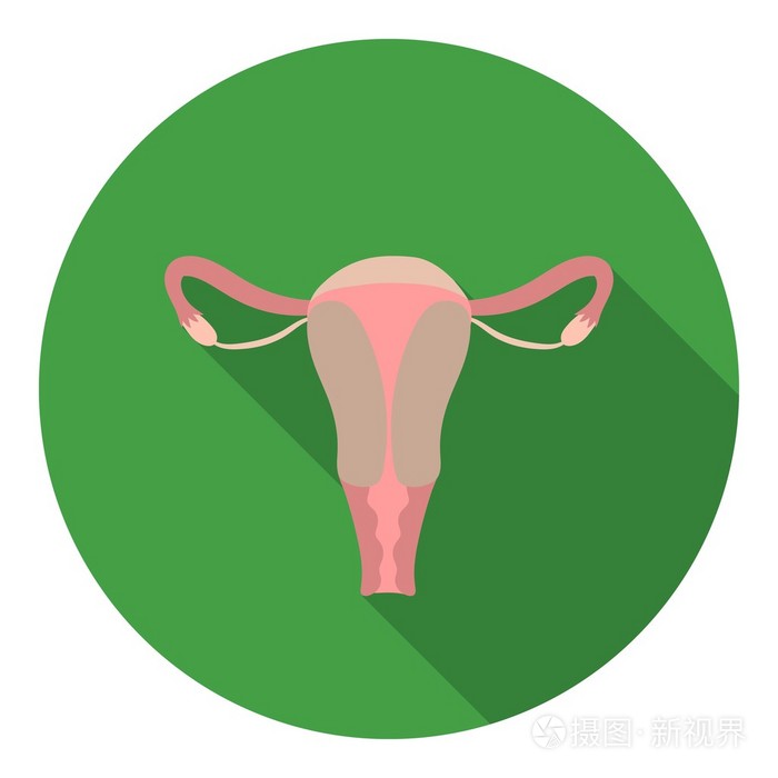 子宫中孤立的白色背景上的平面样式的图标器官象征股票矢量图