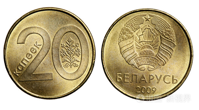 在白色背景上的共和国白俄罗斯硬币