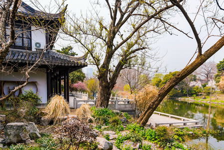 玄武湖上的中国传统建筑图片